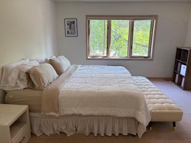 12572 Parkwood Drive, Burnsville, MN 55337