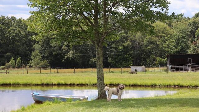 1247 Cannady School RD, Floyd, VA 24091