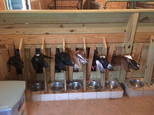 1247 Cannady School RD, Floyd, VA 24091