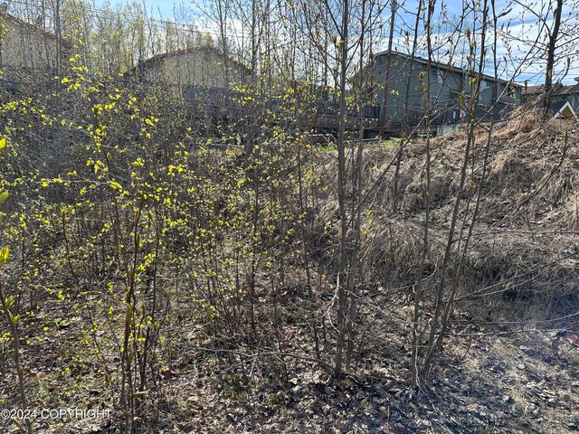 115 Grand Larry Street, Anchorage, AK 99504