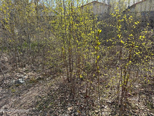 115 Grand Larry Street, Anchorage, AK 99504