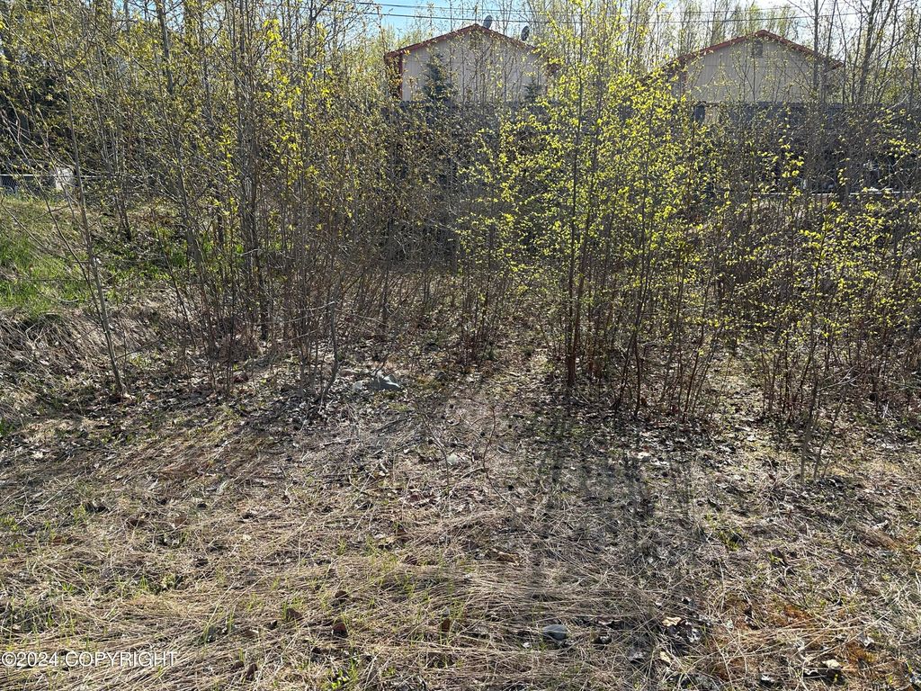 115 Grand Larry Street, Anchorage, AK 99504