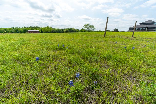 1401 E Campus Road, Palmer, TX 75152