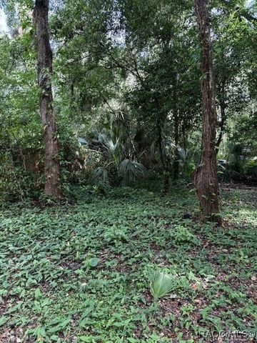 9379 E Tin Pan Alley, Inverness, FL 34453