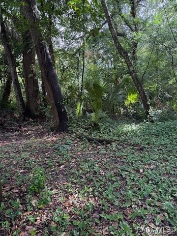 9379 E Tin Pan Alley, Inverness, FL 34453