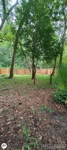 9379 E Tin Pan Alley, Inverness, FL 34453