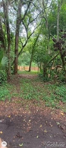 9379 E Tin Pan Alley, Inverness, FL 34453