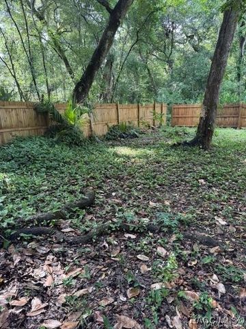 9379 E Tin Pan Alley, Inverness, FL 34453