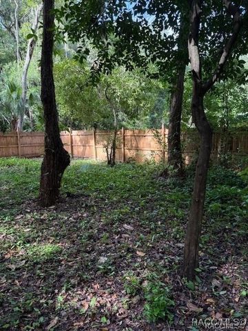 9379 E Tin Pan Alley, Inverness, FL 34453