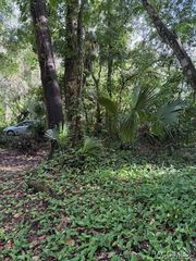 9379 E Tin Pan Alley, Inverness, FL 34453