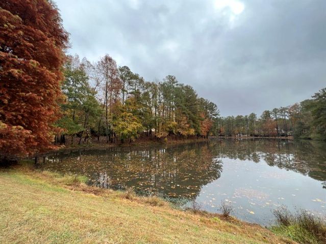 14111 Seabiscuit, Milton, GA 30004