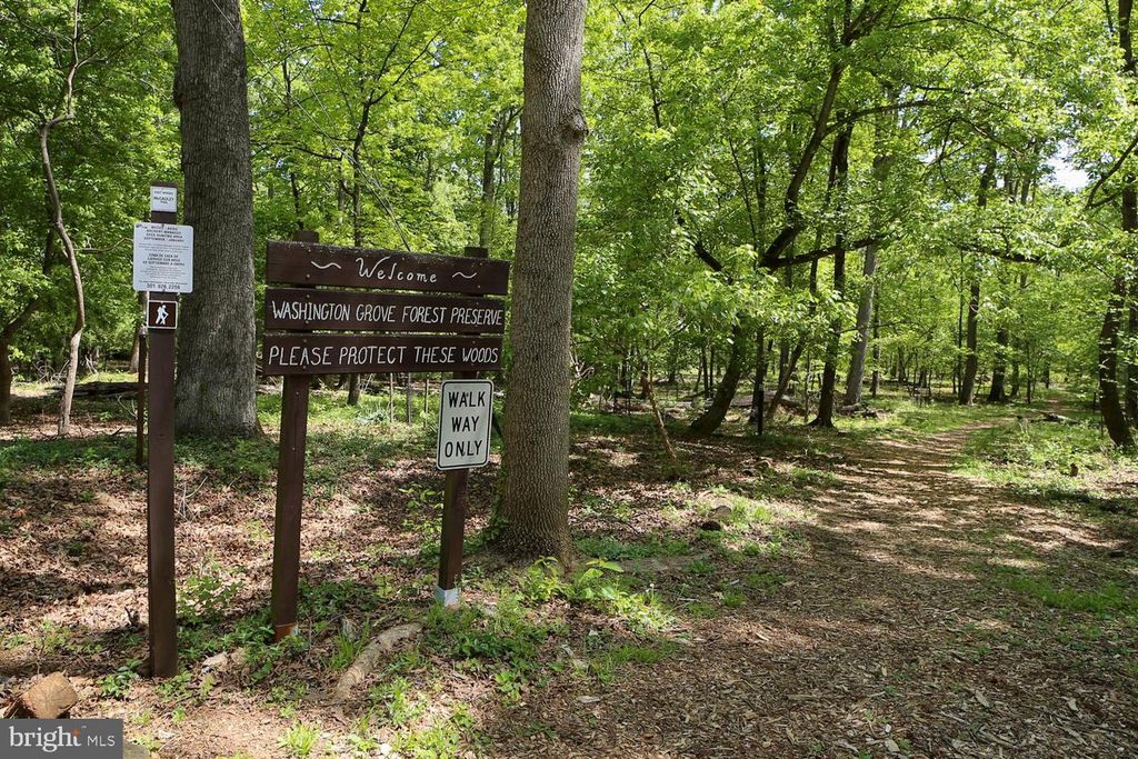 Image 35 of property listing at 503 MCCAULEY ST, Washington Grove, MD 20880