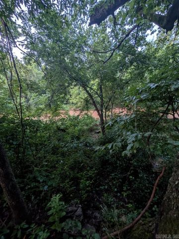 208 MC 6087, Yellville, AR 72687