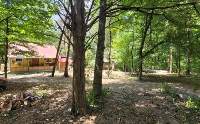 7992 Primm Springs Rd, Primm Springs, TN 38476