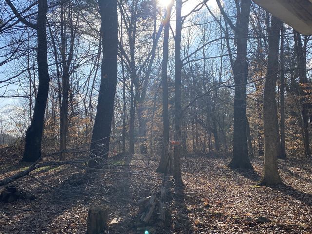 7992 Primm Springs Rd, Primm Springs, TN 38476