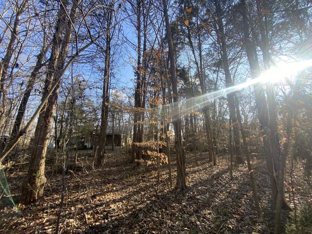 7992 Primm Springs Rd, Primm Springs, TN 38476