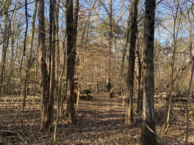 7992 Primm Springs Rd, Primm Springs, TN 38476