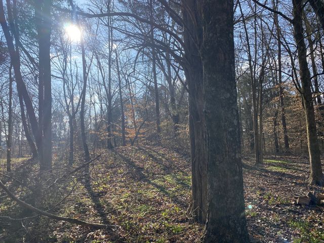 7992 Primm Springs Rd, Primm Springs, TN 38476