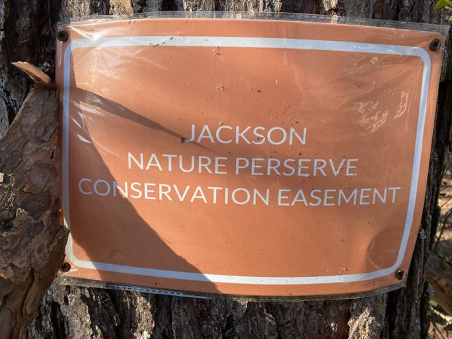 7992 Primm Springs Rd, Primm Springs, TN 38476