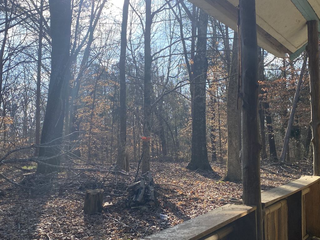 7992 Primm Springs Rd, Primm Springs, TN 38476