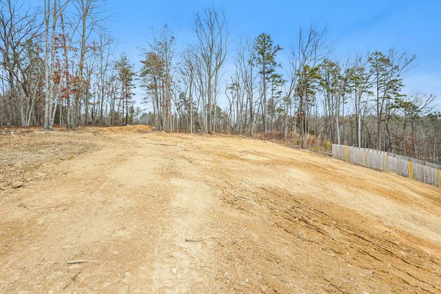 6583 Long Horn Street, Birchwood, TN 37308