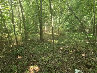 VL Whitehall Road, Whitehall, MI 49461