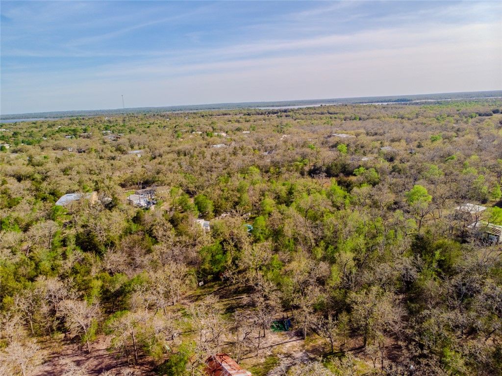 Lot 211 Forest Oak Road, Somerville, TX 77879 — photo 5