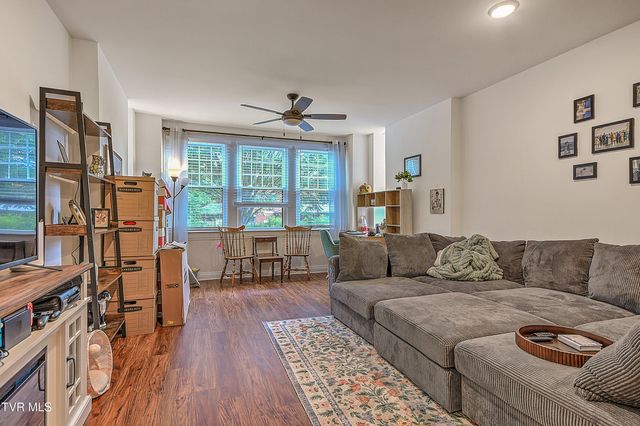 701 West Locust Street Apt 17, Johnson City, TN 37604