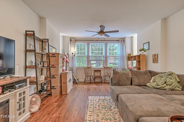 701 West Locust Street Apt 17, Johnson City, TN 37604