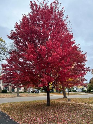 6233 Irving Avenue S, Richfield, MN 55423