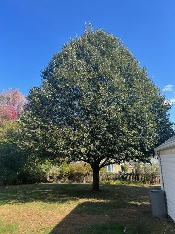 6233 Irving Avenue S, Richfield, MN 55423