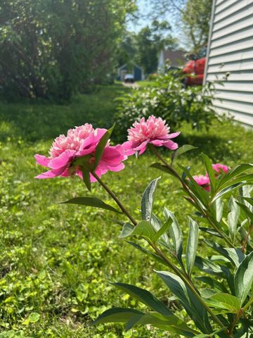 6233 Irving Avenue S, Richfield, MN 55423