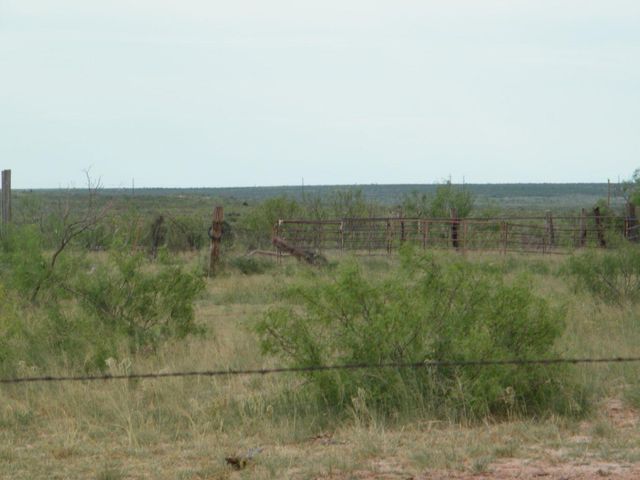0 Gold Road, Valle De Oro, TX 79010