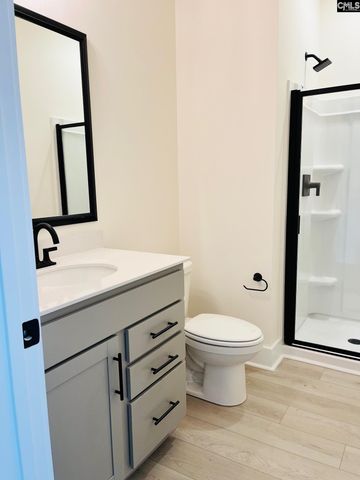 416 Destiny Farm Lane, Blythewood, SC 29016