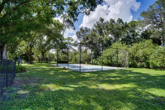 12511 PALOMINO COURT, Tampa, FL 33626