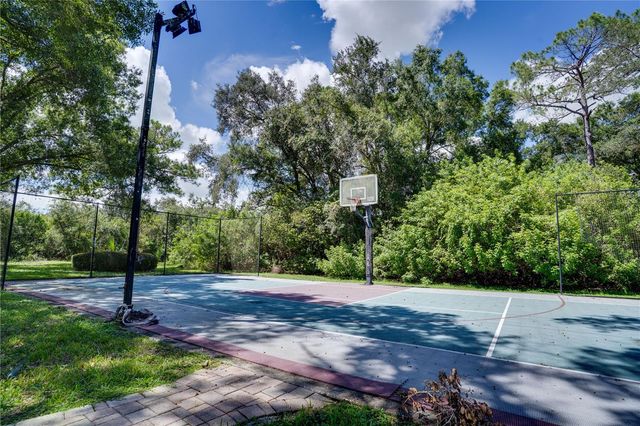 12511 PALOMINO COURT, Tampa, FL 33626
