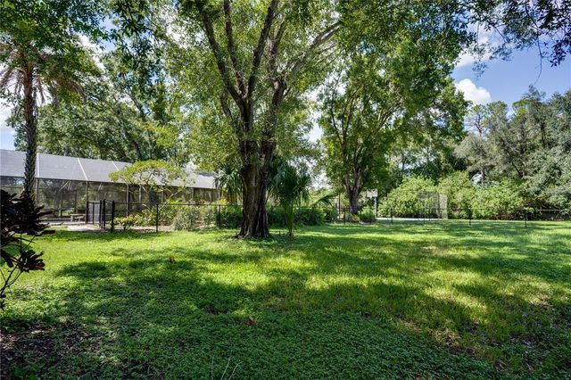 12511 PALOMINO COURT, Tampa, FL 33626