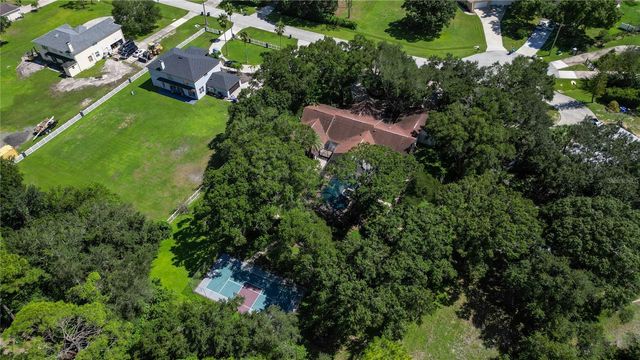 12511 PALOMINO COURT, Tampa, FL 33626