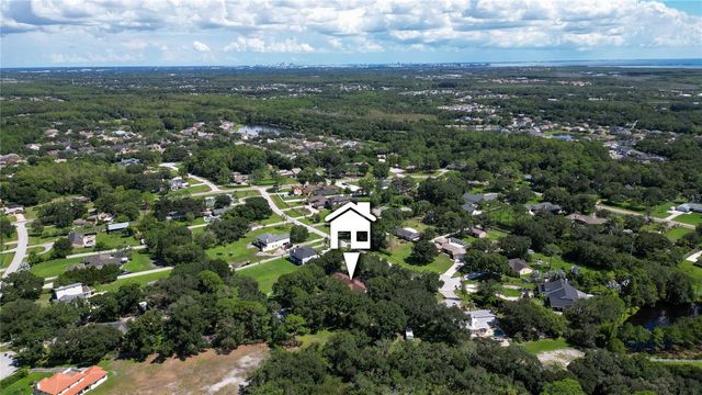 12511 PALOMINO COURT, Tampa, FL 33626