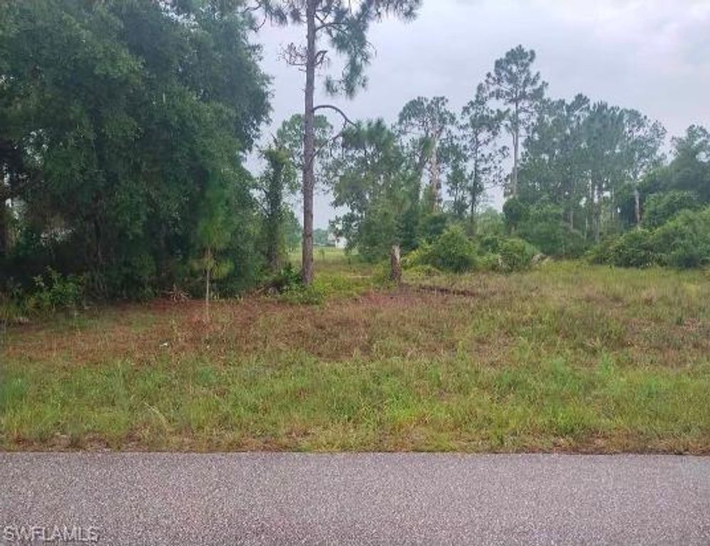 310 Malaga AVE S, LEHIGH ACRES, FL 33974 — photo 3