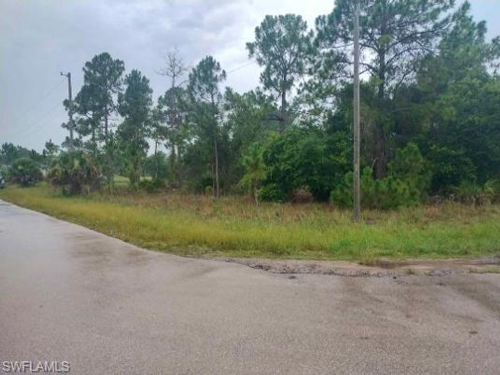 310 Malaga AVE S, LEHIGH ACRES, FL 33974 — photo 4