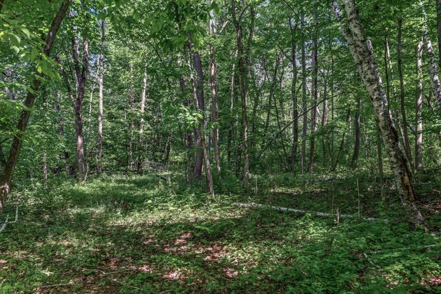 25xxx Itasca Avenue, Forest Lake, MN 55025