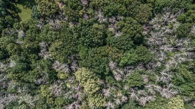 25xxx Itasca Avenue, Forest Lake, MN 55025