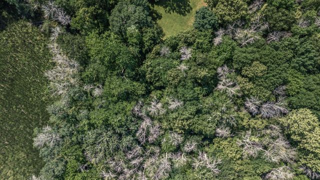 25xxx Itasca Avenue, Forest Lake, MN 55025