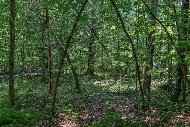 25xxx Itasca Avenue, Forest Lake, MN 55025