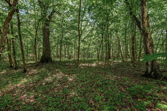 25xxx Itasca Avenue, Forest Lake, MN 55025