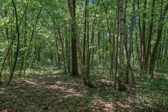 25xxx Itasca Avenue, Forest Lake, MN 55025