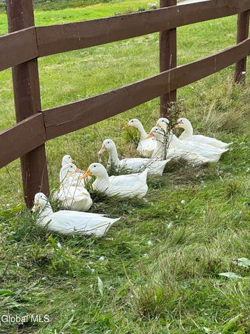 1892 Knox Cave Road, Knox, NY 12053