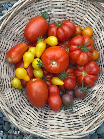 1892 Knox Cave Road, Knox, NY 12053