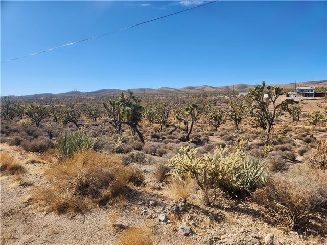 0000 N Tamarisk & Rainbow, Meadview, AZ 86444